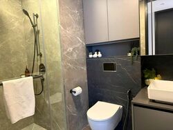 Irwell Hill Residences (D9), Apartment #597095981
